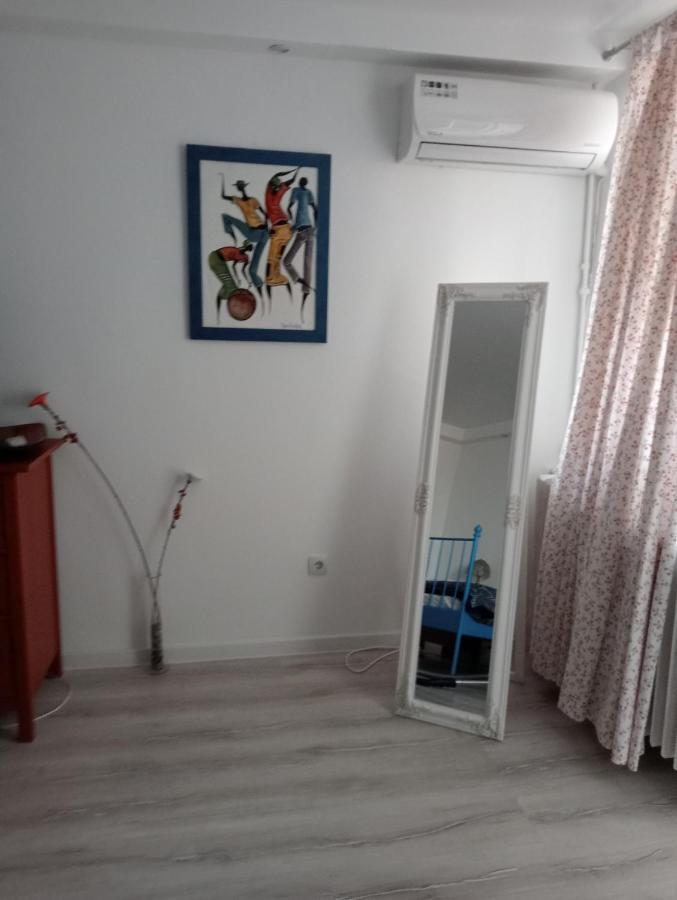 Skyline Central Apartment Timisoara Esterno foto