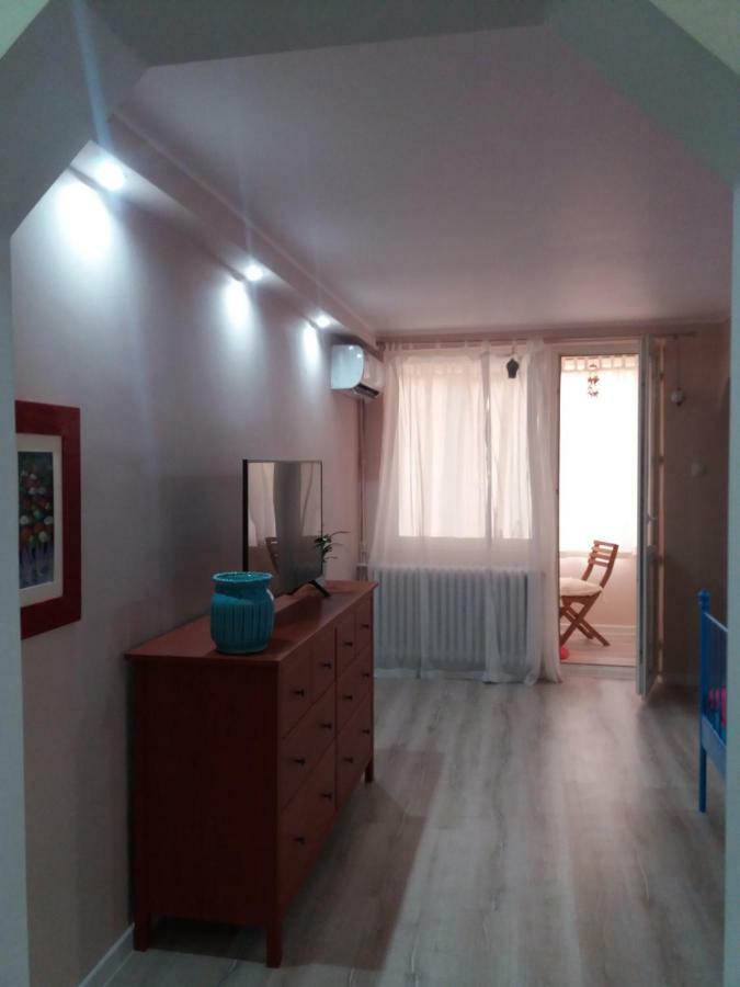 Skyline Central Apartment Timisoara Esterno foto