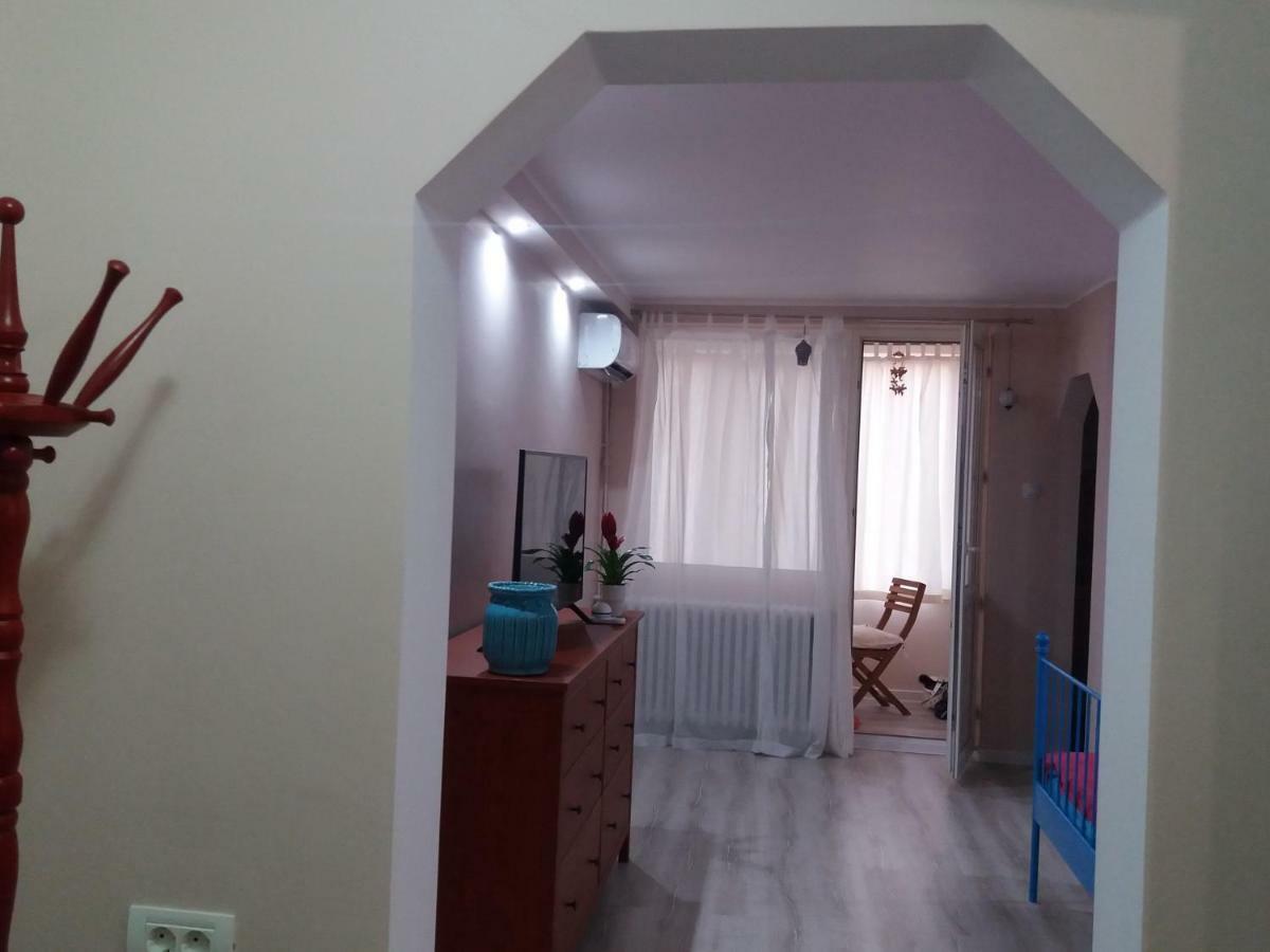 Skyline Central Apartment Timisoara Esterno foto