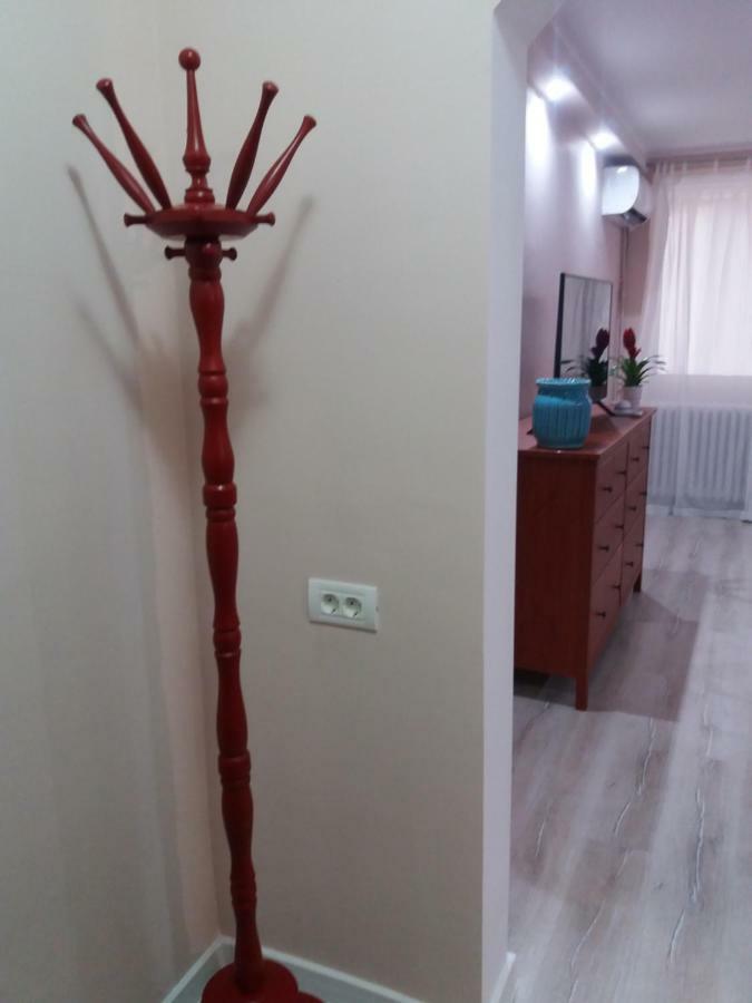 Skyline Central Apartment Timisoara Esterno foto