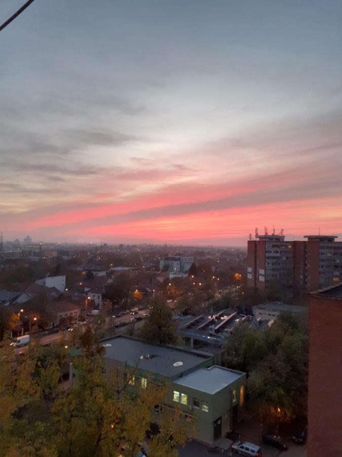 Skyline Central Apartment Timisoara Esterno foto
