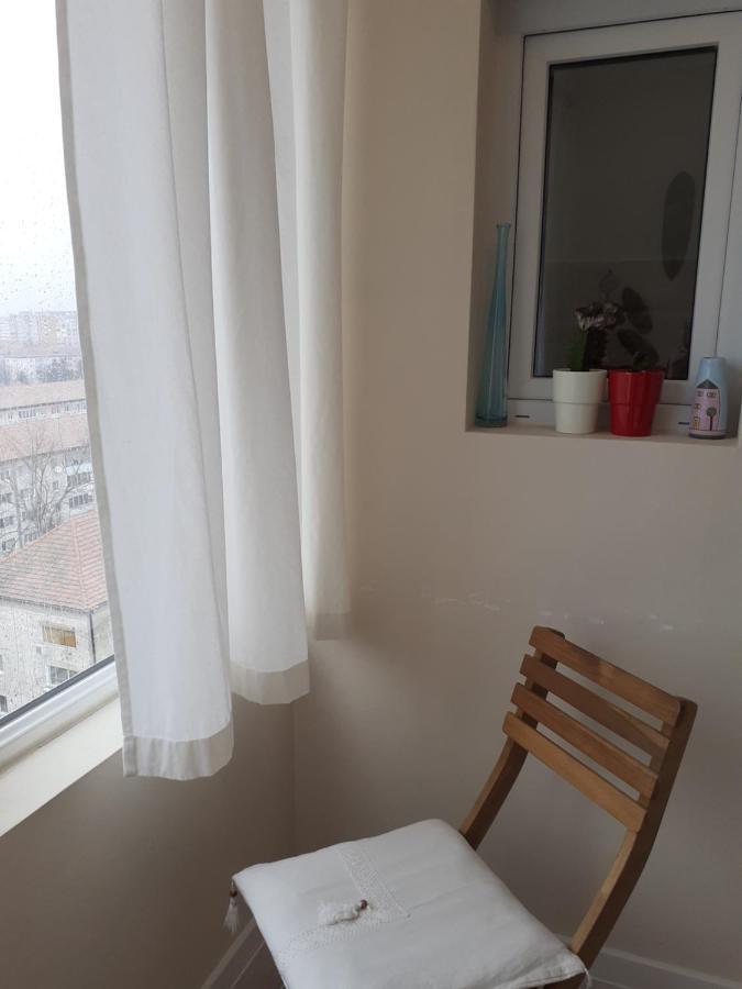 Skyline Central Apartment Timisoara Esterno foto